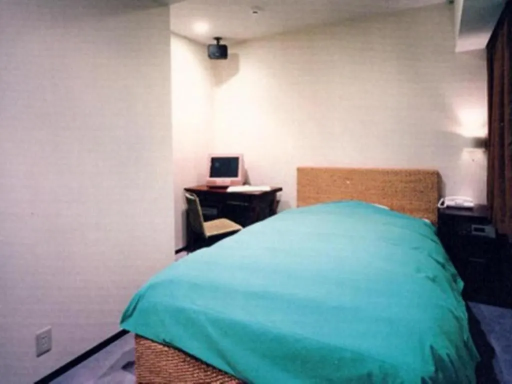 Hotel The Grandee Shinsaibashi Osaka
